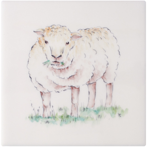 Djur med attityd Sheep