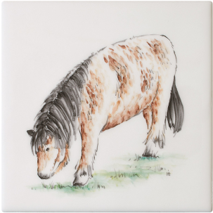 Djur med attityd Shetland Pony