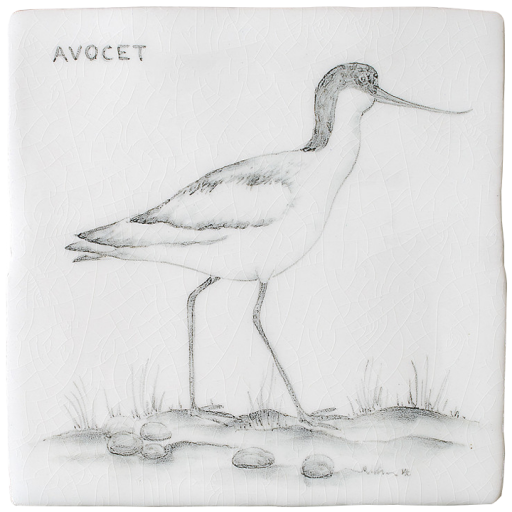 Kust & Hedfåglar Birds Avocet 5