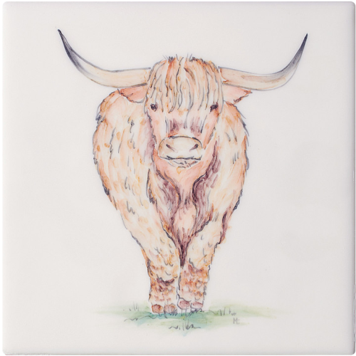 Djur med attityd Highland Cow