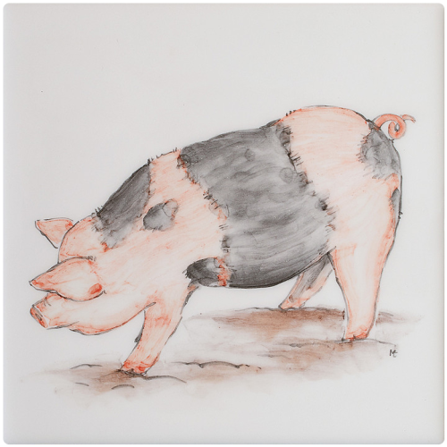 Djur med attityd Saddleback Pig