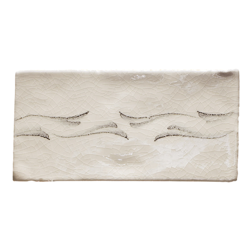 Botaniska Etsningar Vide Ram Flera Riktningar