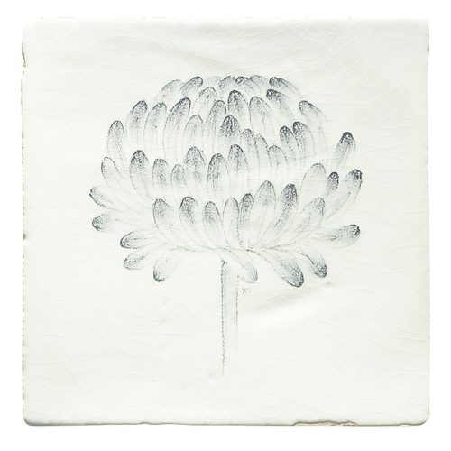 Botaniska Etsningar 1