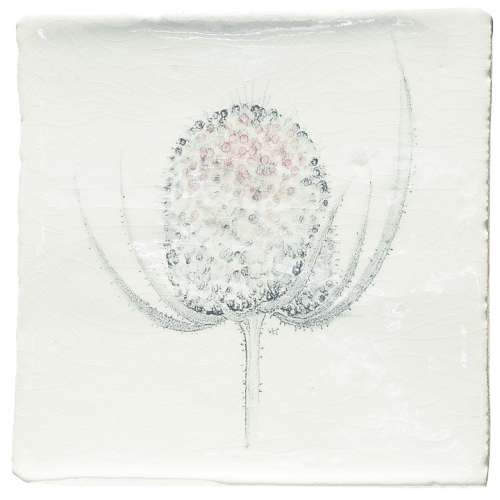 Botaniska Etsningar 10