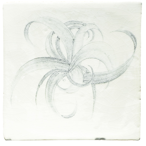 Botaniska Etsningar 2