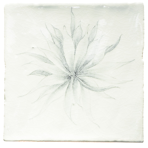 Botaniska Etsningar 3