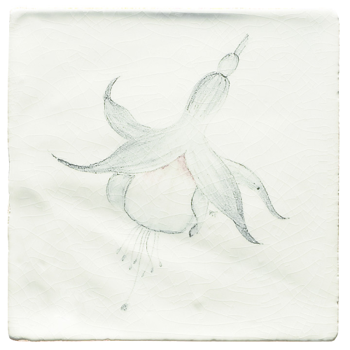 Botaniska Etsningar 4