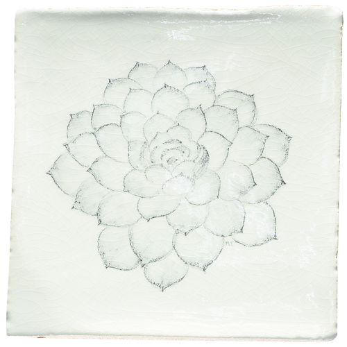 Botaniska Etsningar 5