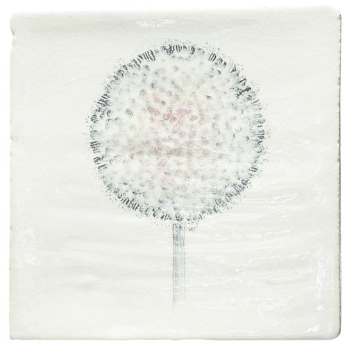 Botaniska Etsningar 6