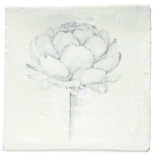 Botaniska Etsningar 7