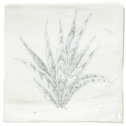 Botaniska Etsningar 8