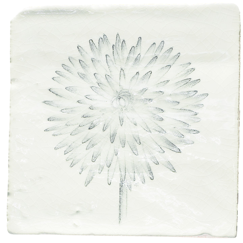 Botaniska Etsningar 9