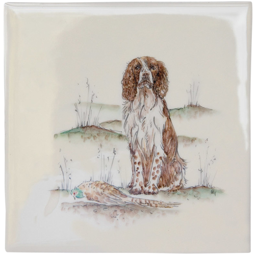 Sportscener Spaniel 8