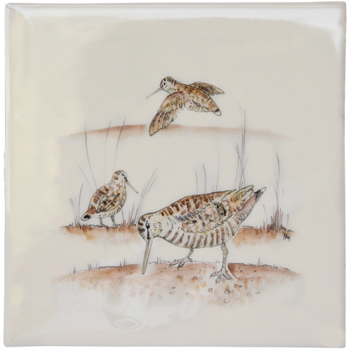 Sportscener Woodcocks 2