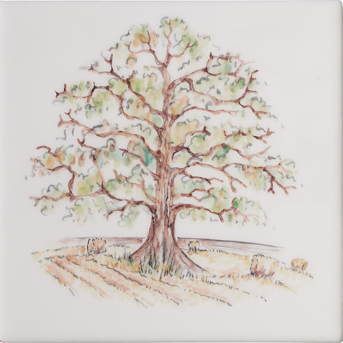 Oak Tree 4
