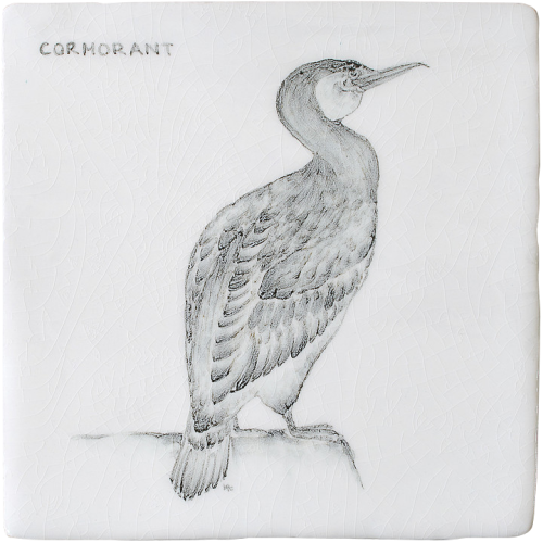 Kust & Hedfåglar Cormorant 1