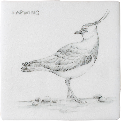 Kust & Hedfåglar Birds Lapwing 3