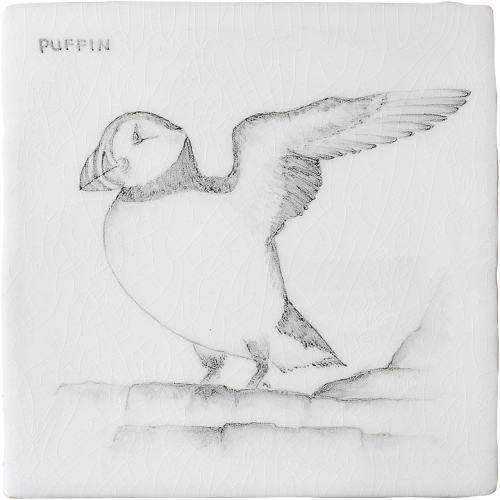 Kust & Hedfåglar Birds Puffin 4