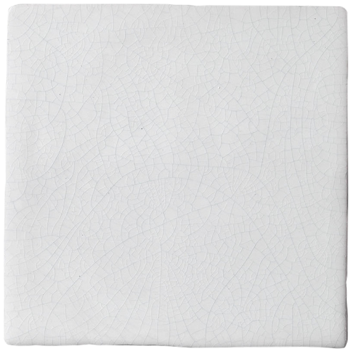 Sage Green Plain Square