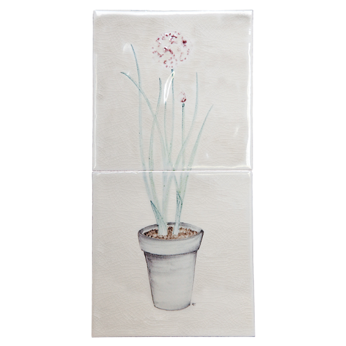 Plantor & Kvistar Planta Gräslök