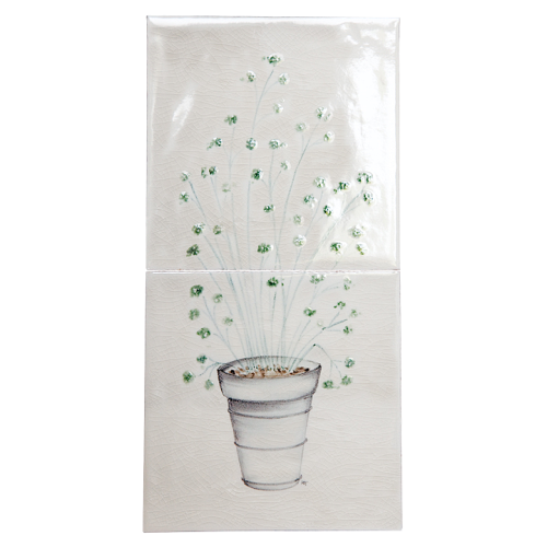 Plantor & Kvistar Planter Persilja