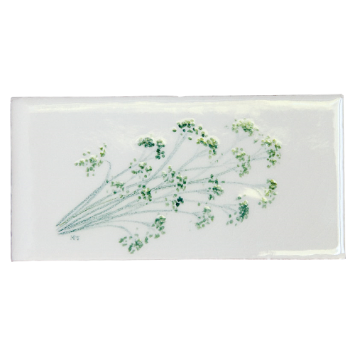 Plantor & Kvistar Persilja