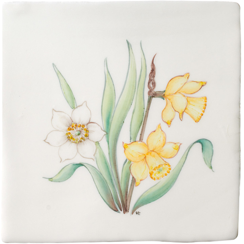 Vårblommor Påsklilja