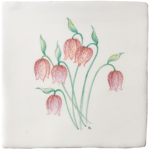 Vårblommor Pärlemor