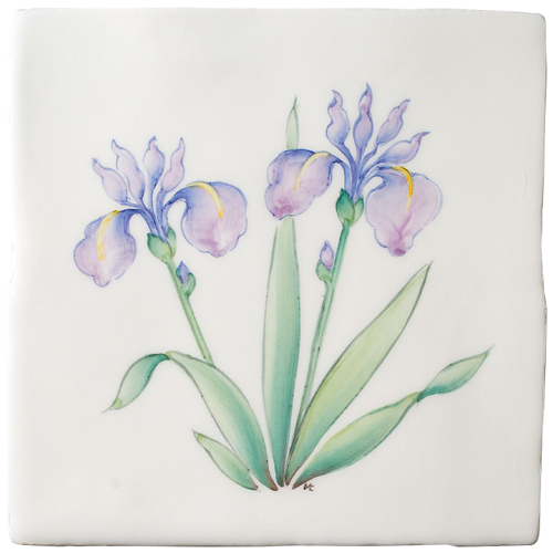 Vårblommor Svärdslilja